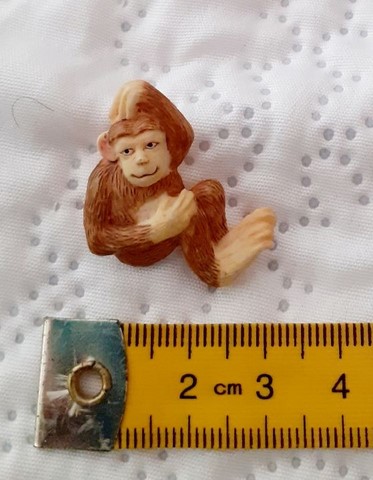 Bouton singe